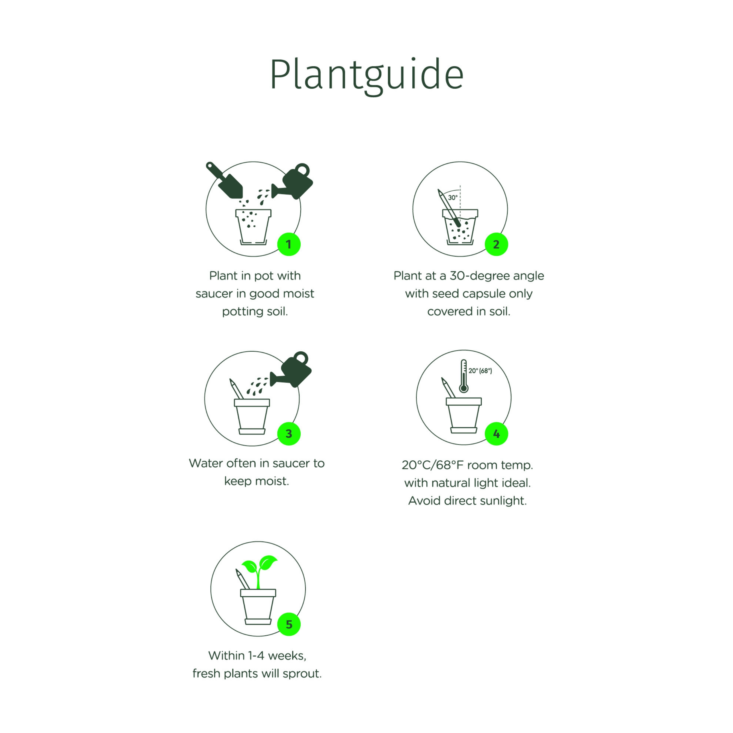 SproutWorld-singapore-Plantable-Pencil-Planting-Guide