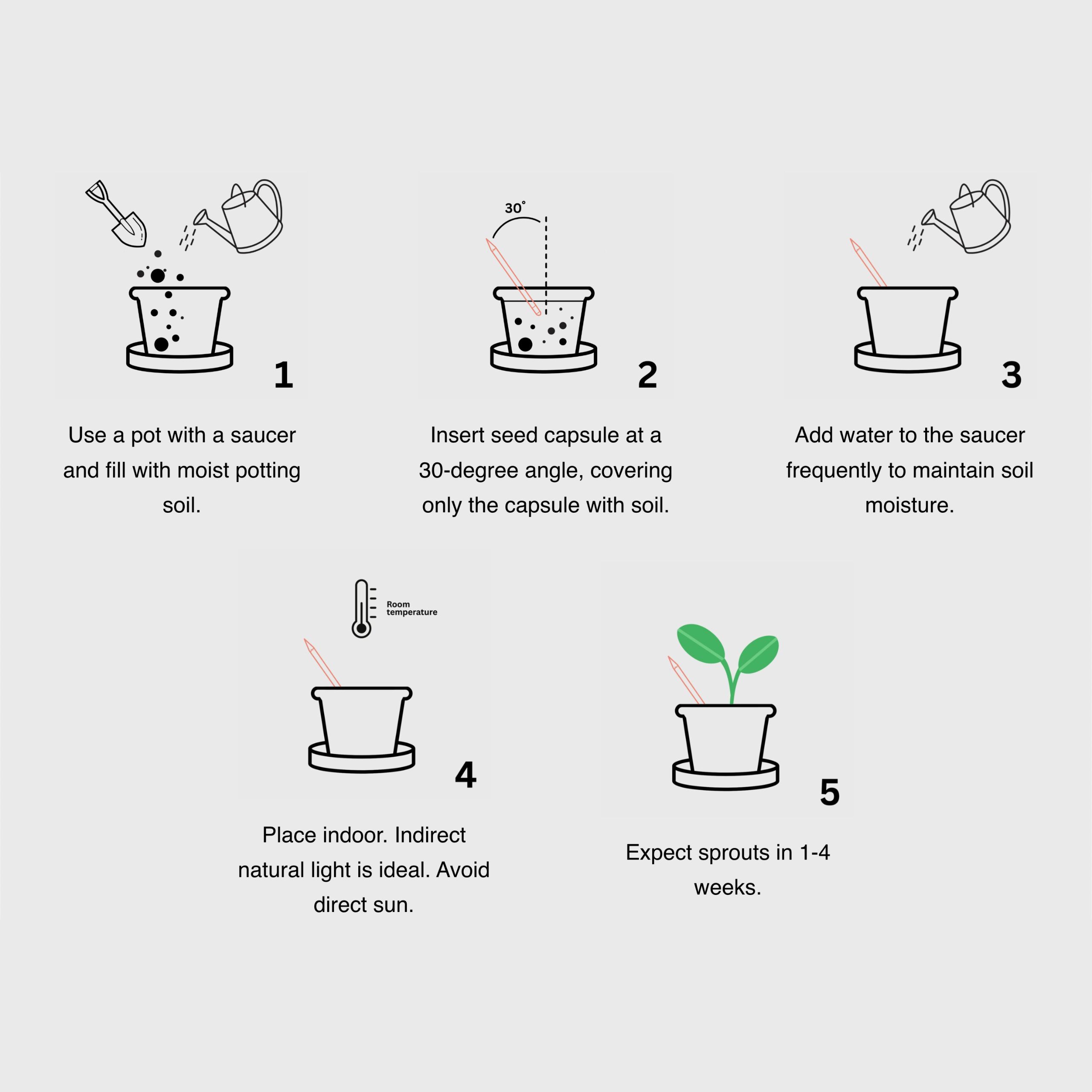 Seed-Pen-Singapore-planting-guide-illustration